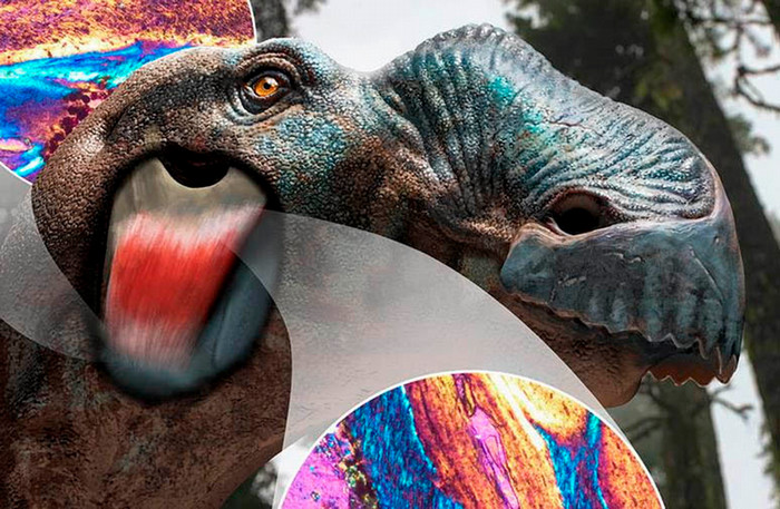 A visualization of a dinosaur soft tissue.