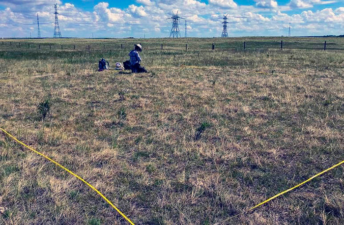U of A researchers did field work at the Mattheis and Roy Berg Kinsella research ranches, contributing to a global study examining plant biodiversity across the world.