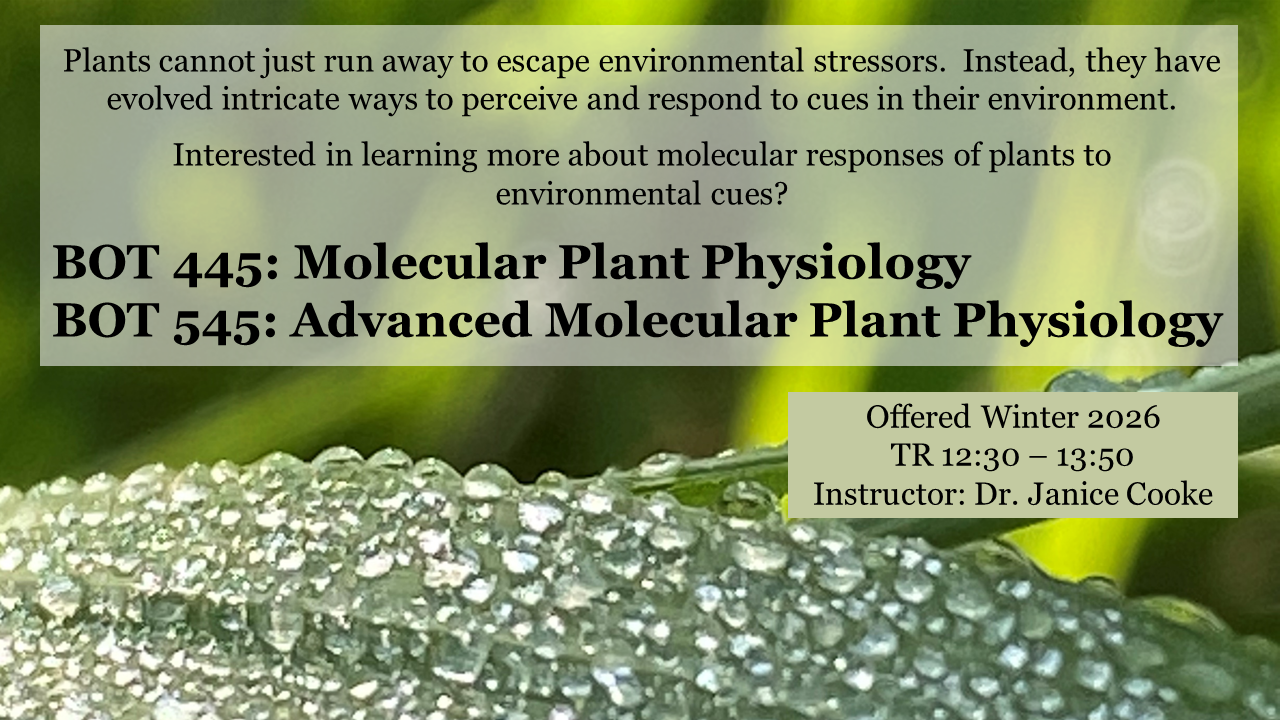 BOT 445 course advertisement