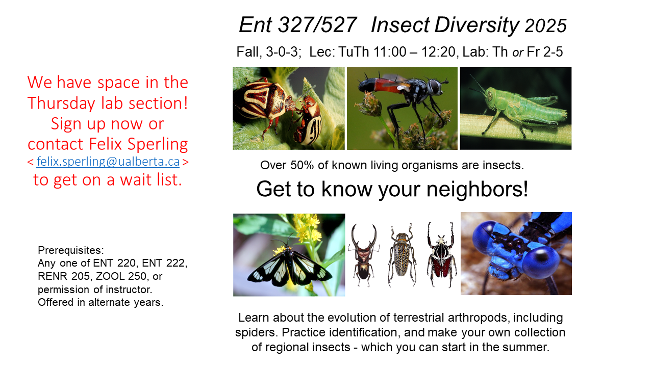 ENT 327 course advertisement