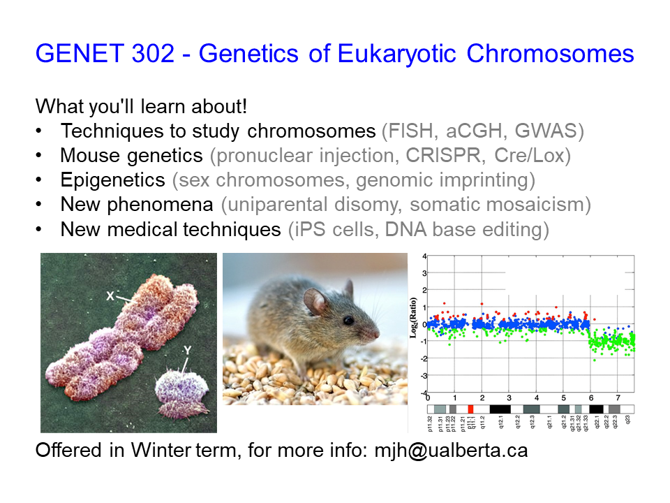 genet 302 course advertisement