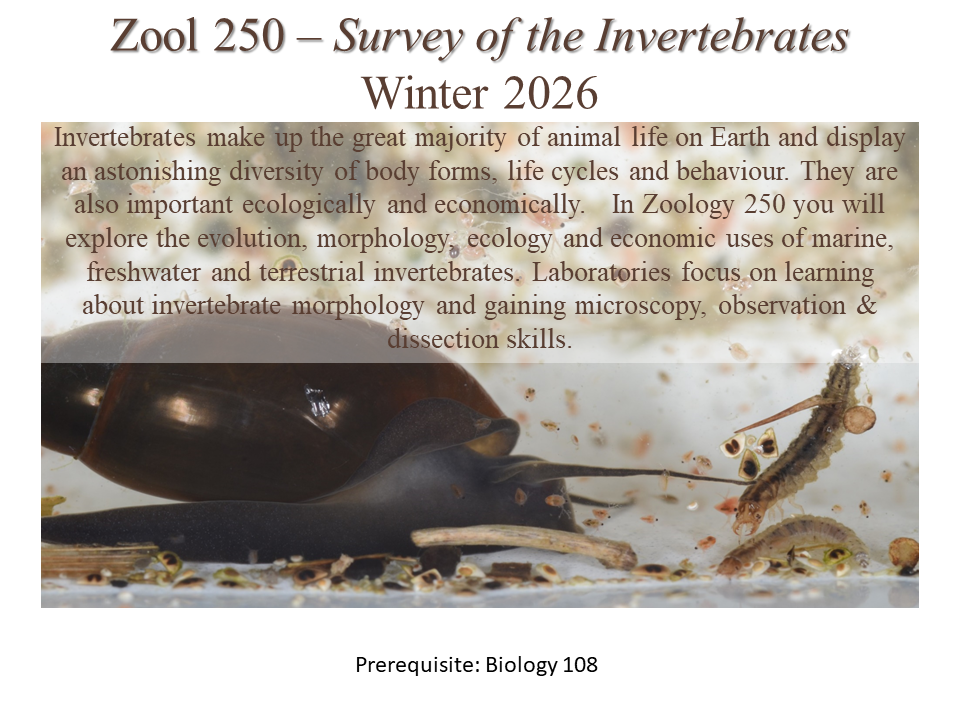 ZOOL 250 course advertisement