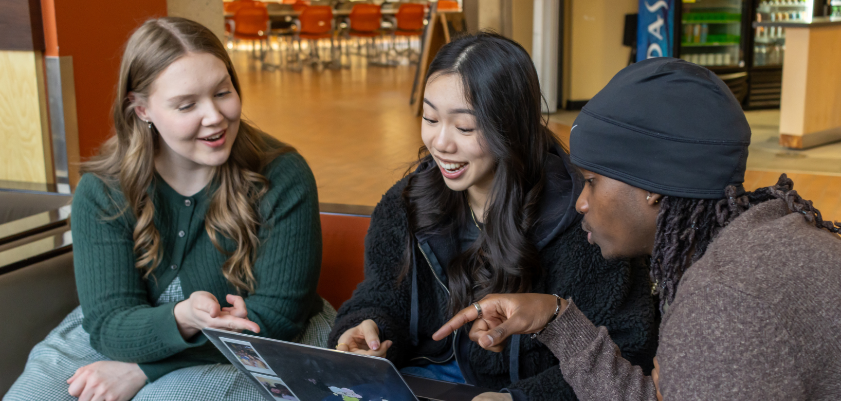 Banner image for Diploma and Certificate Programs