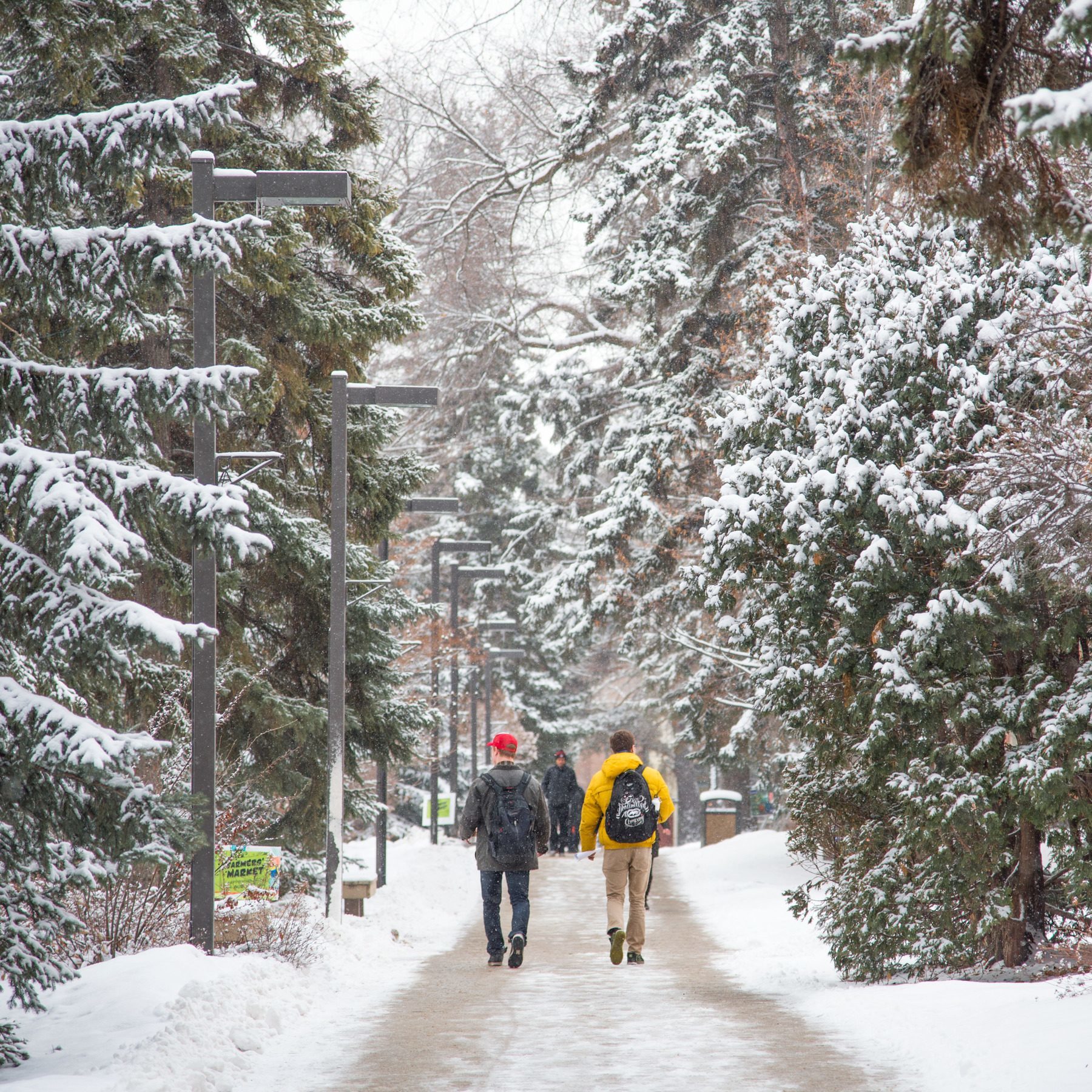 pair walking down snowy campus 