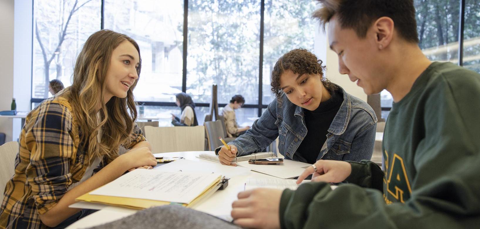 Banner image for Undergraduate Program Review