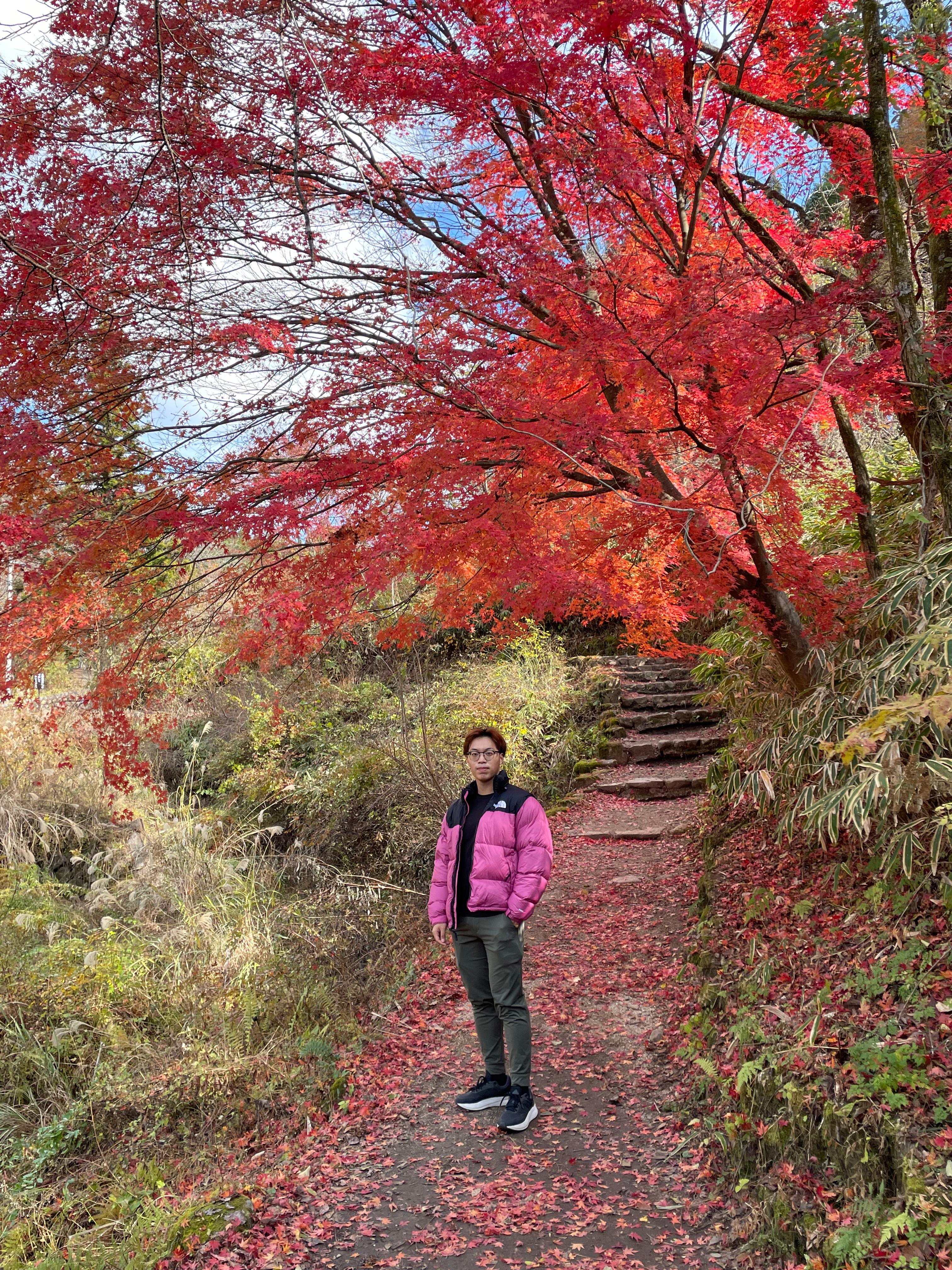 fall in Japan