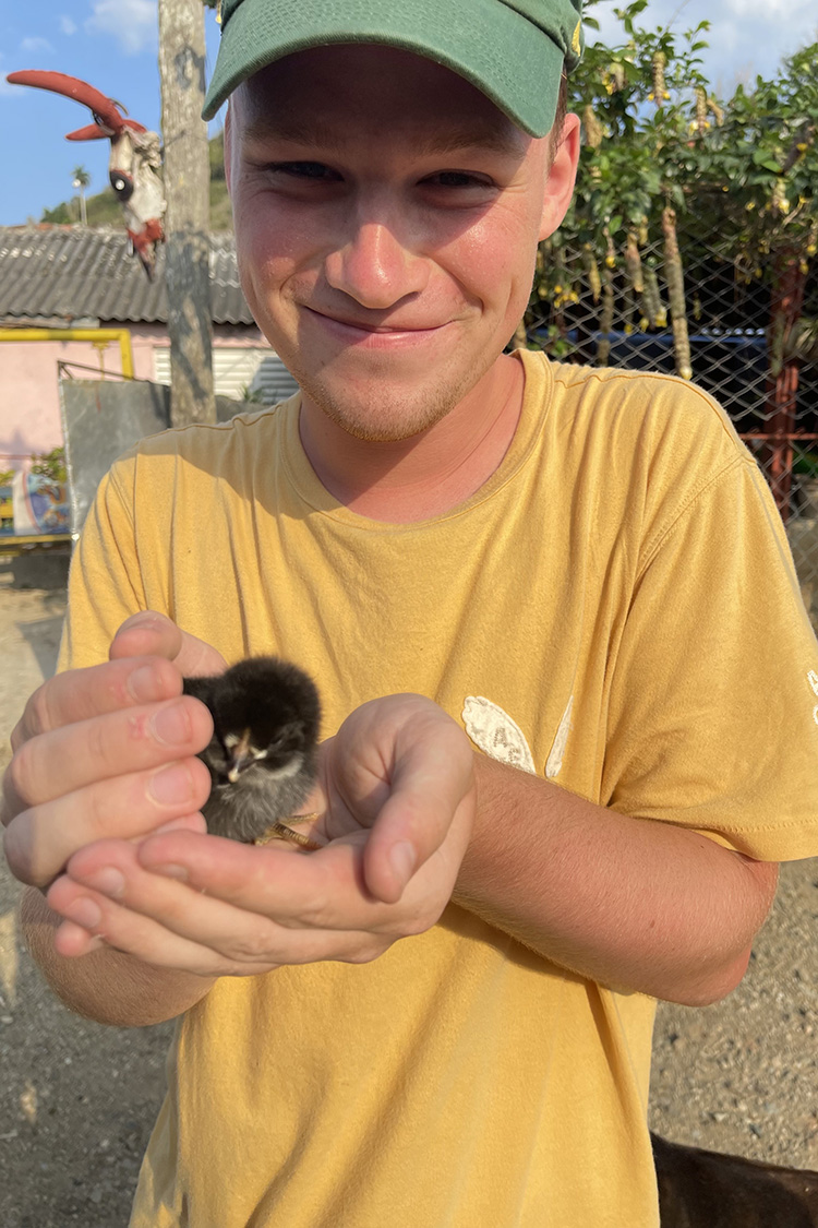 Rottnest Island, near Perth