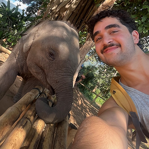 Mudher with baby elephant