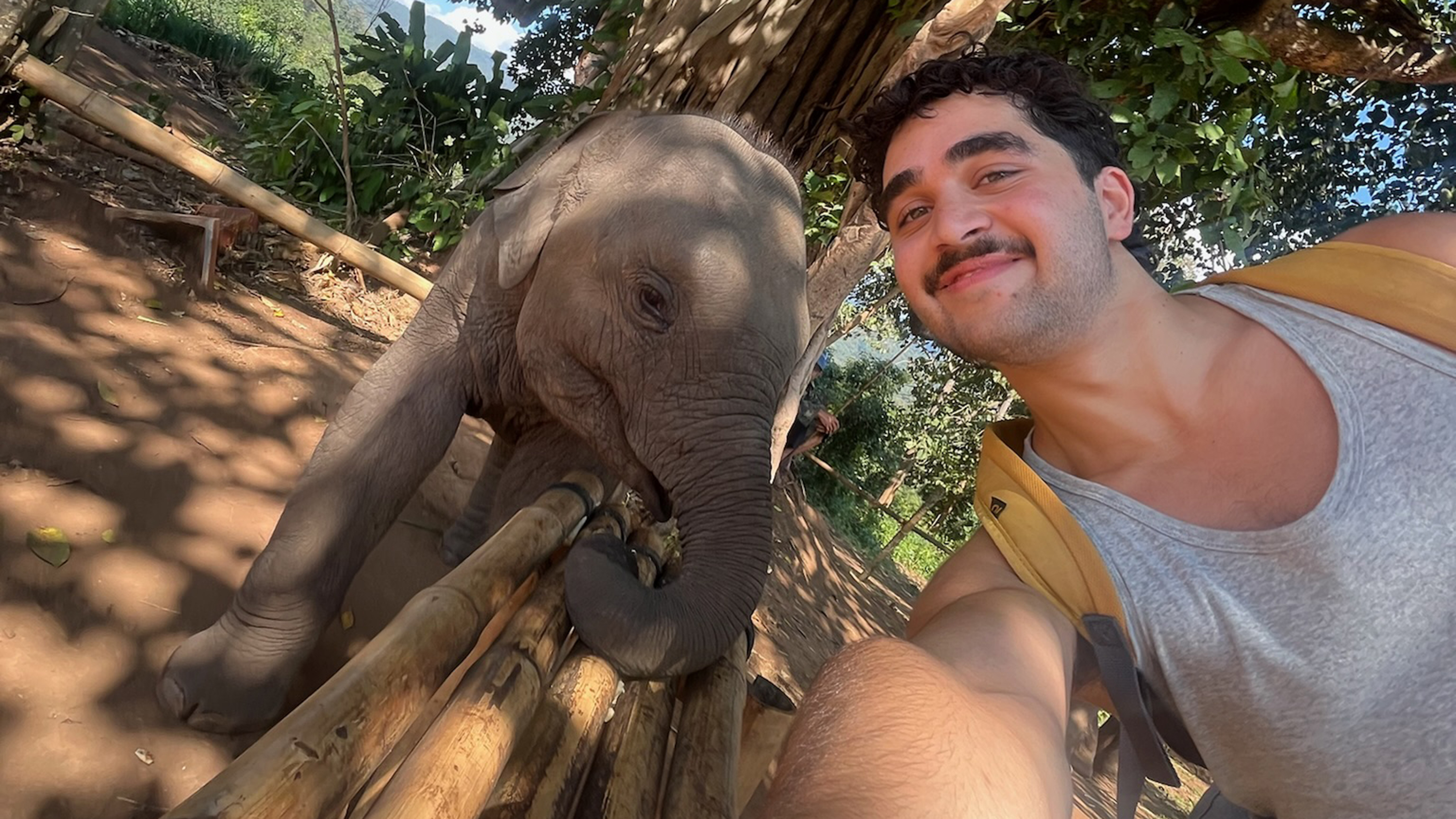 Mudher with baby elephant