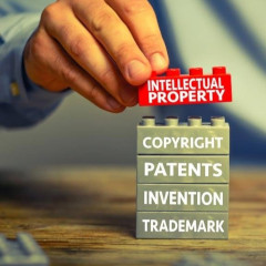 intellectual-property-image-w240-1x1.jpg