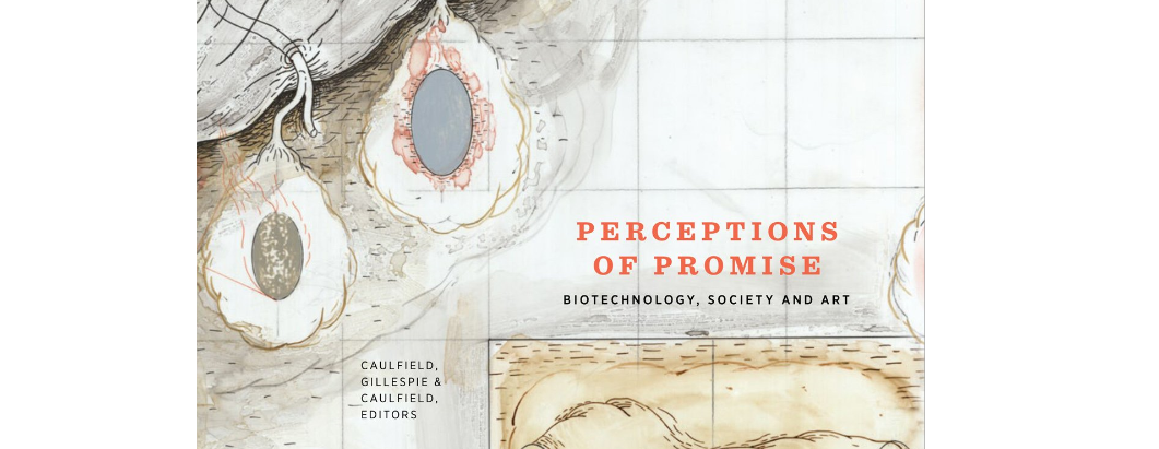 Perceptions of Promise