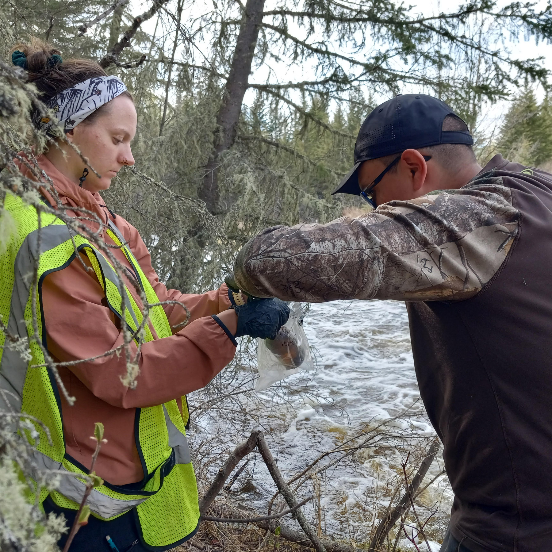 Agriculture + Food Security