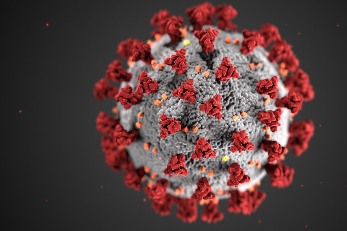 An illustration of the structure of coronaviruses, created by the Centers for Disease Control and Prevention.