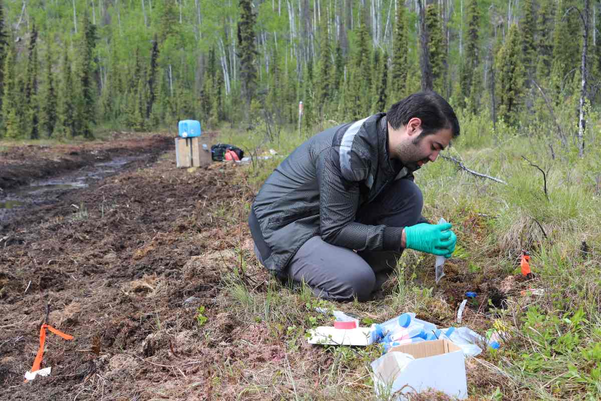 PhD student Alireza Saidi-Mehrabad is pictured here in doing field work, collecting samples used in the paper.
