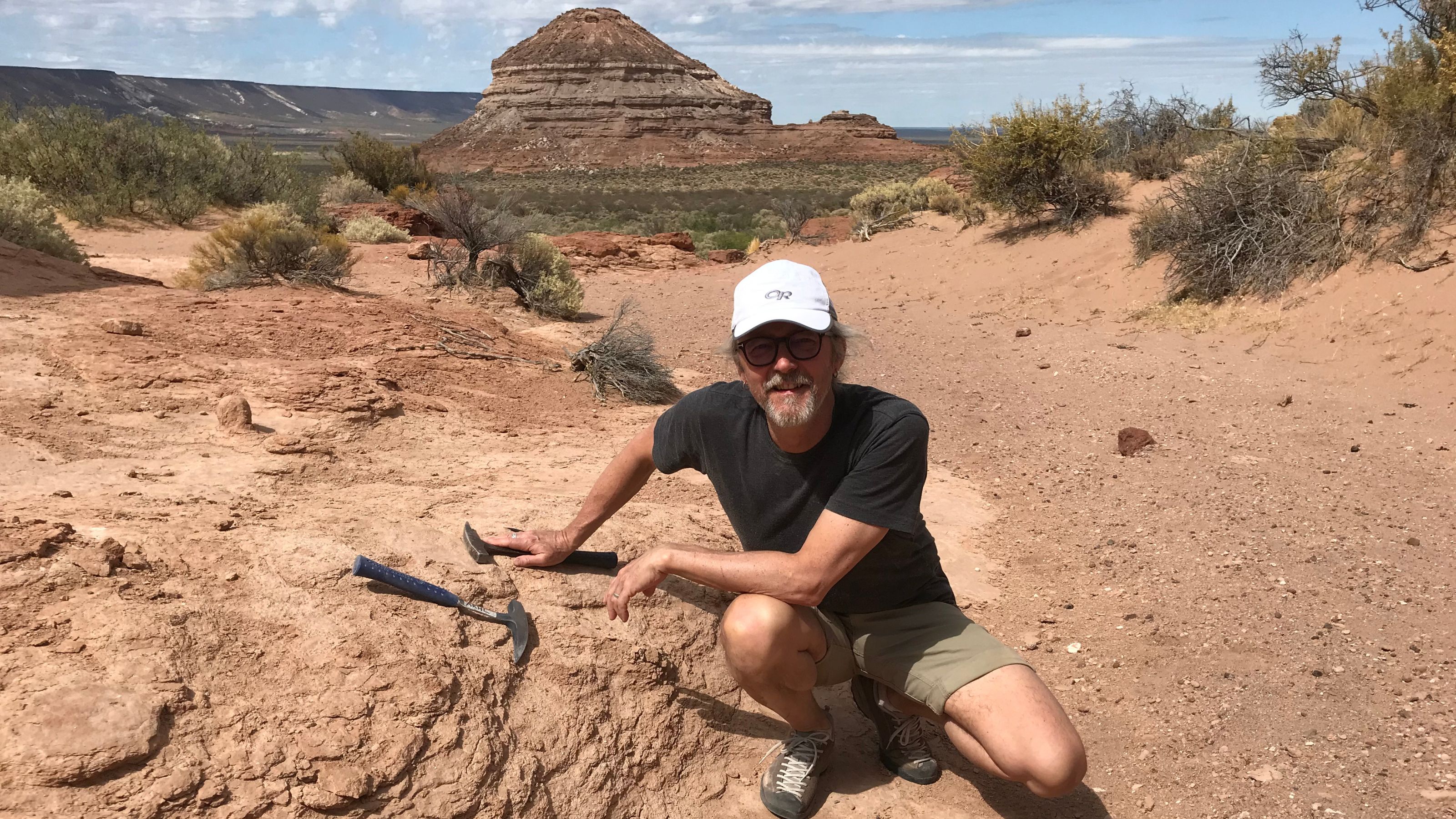 Michael Caldwell, professor in the Department of Biological Sciences.